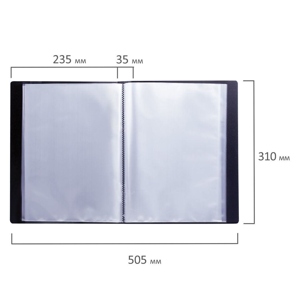 Папка 60 вкладышей BRAUBERG стандарт, черная, 0,8 мм