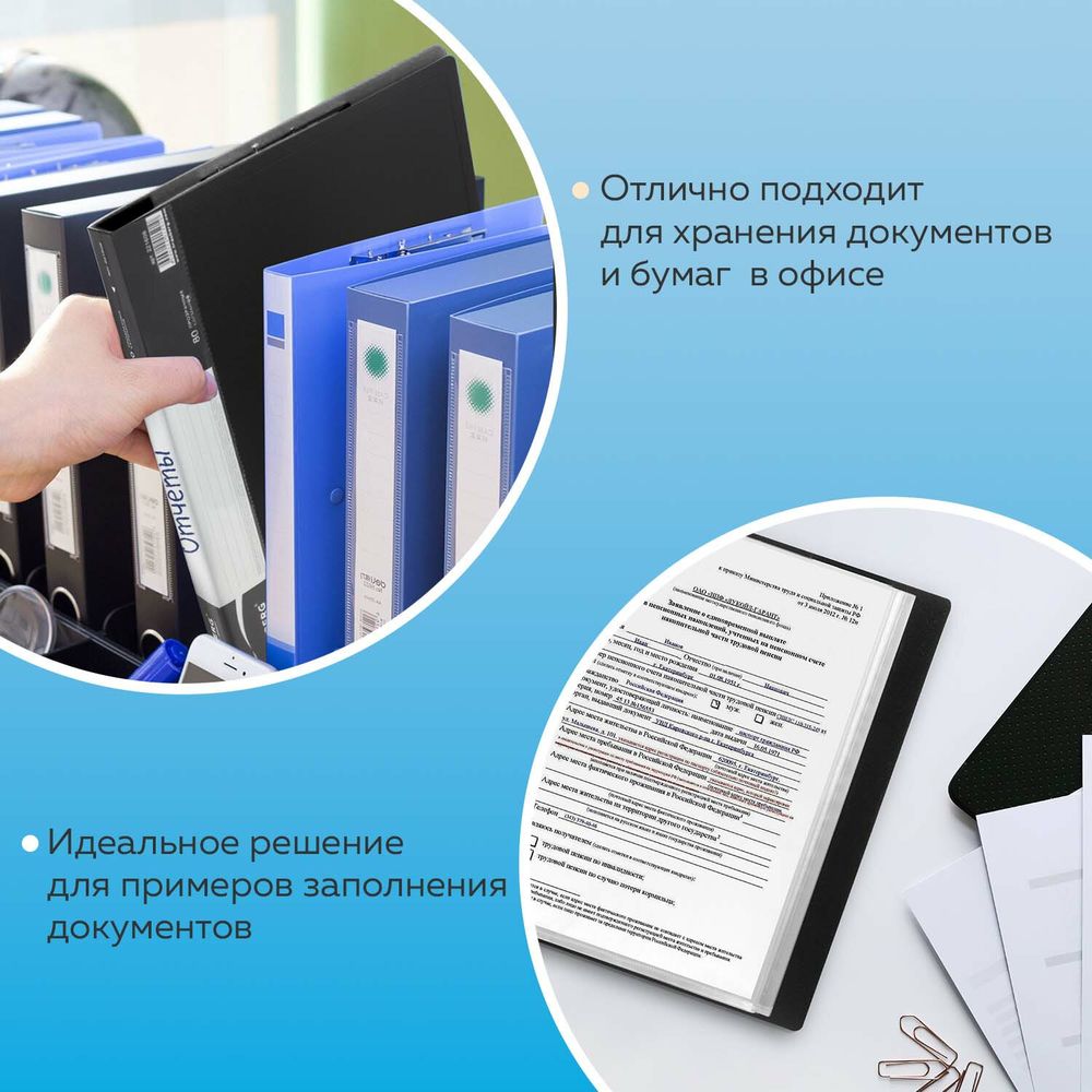 Папка 80 вкладышей BRAUBERG стандарт, черная, 0,9 мм