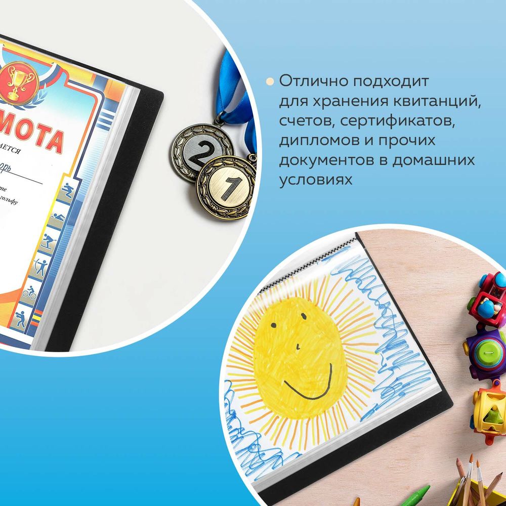 Папка 80 вкладышей BRAUBERG стандарт, черная, 0,9 мм