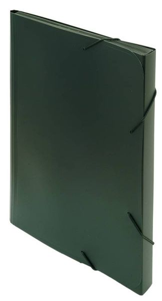 Папка на резинке Бюрократ 6 делений А4 пластик 0.7мм черный