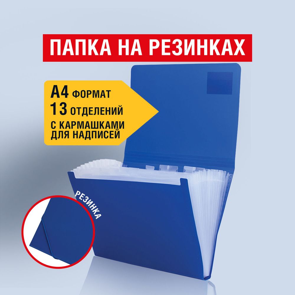 Папка на резинках BRAUBERG "Business", А4, 13 отделений, пластиковый индекс, синяя, 0,5 мм