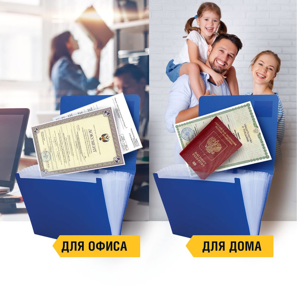 Папка на резинках BRAUBERG "Business", А4, 13 отделений, пластиковый индекс, синяя, 0,5 мм