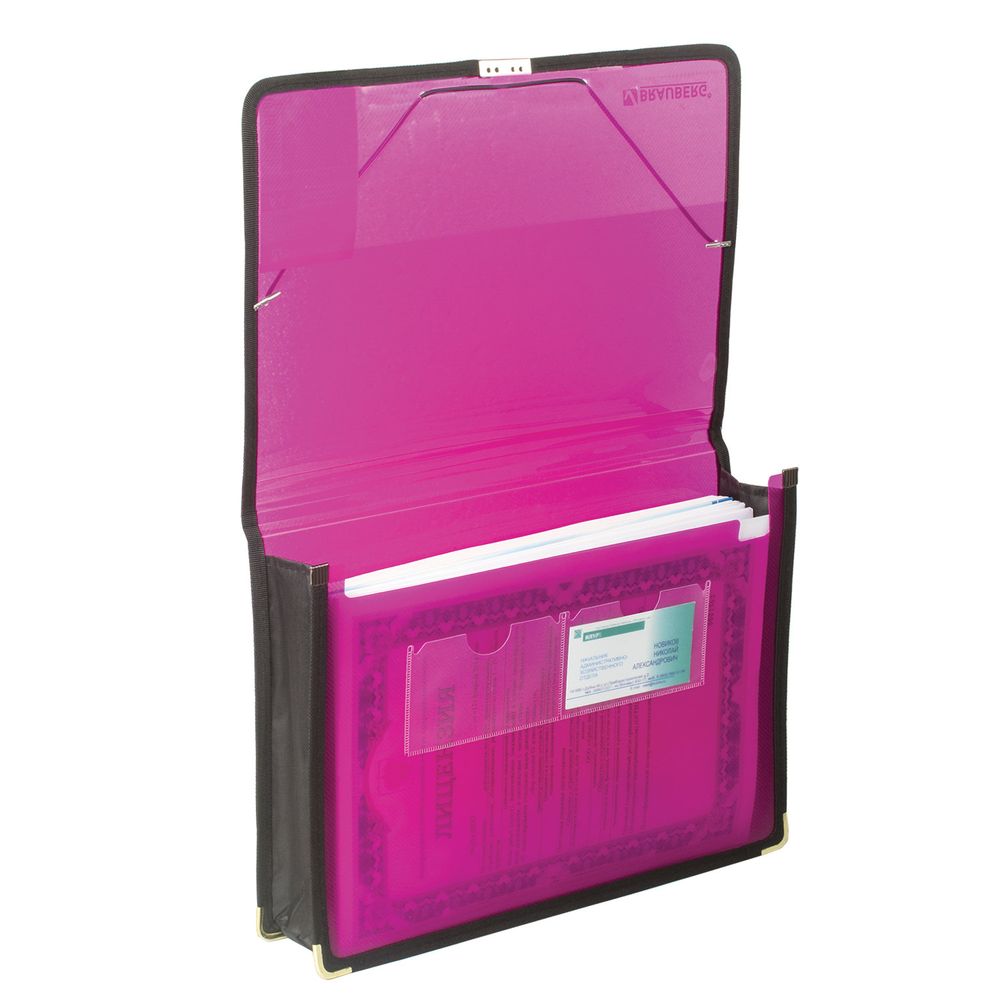 Папка на резинках BRAUBERG, широкая, А4, 330х240 мм, ассорти, до 500 листов, 0,6 мм