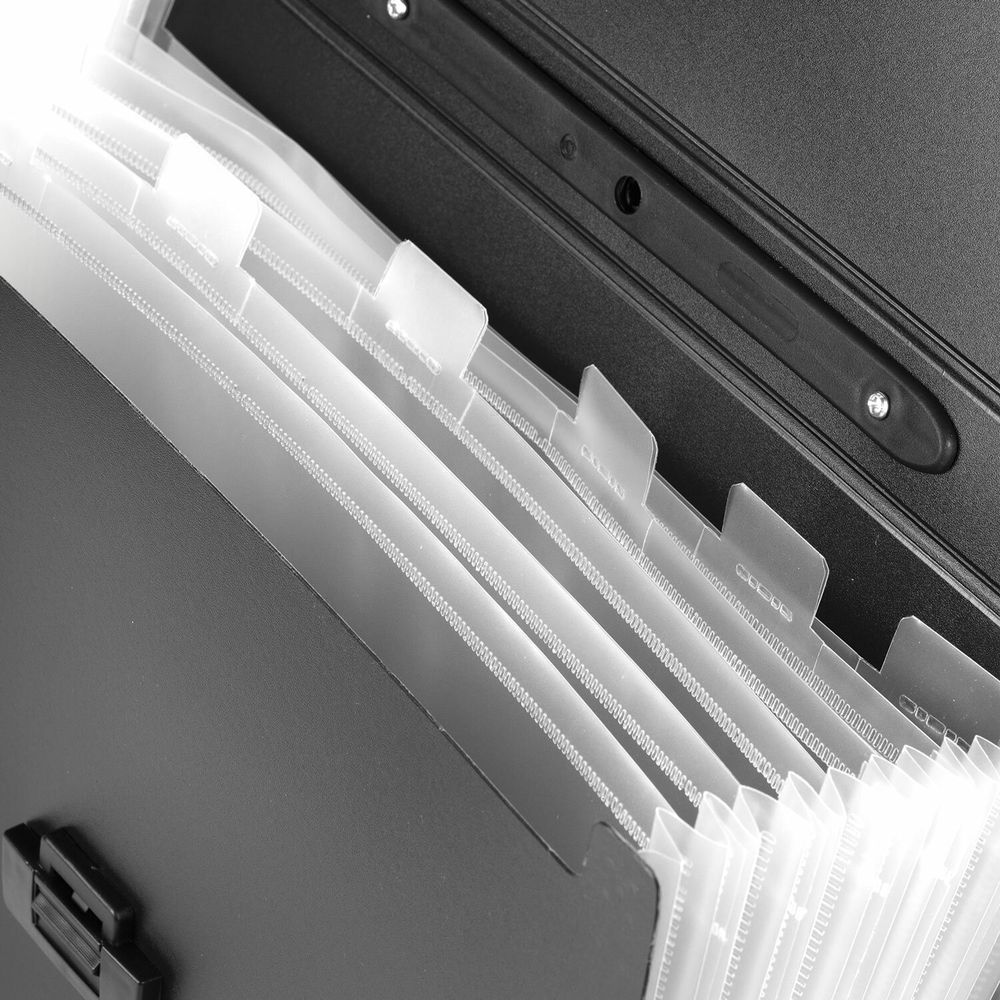 Папка-портфель пластиковая BRAUBERG