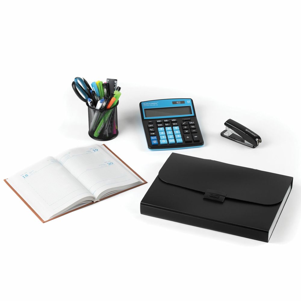 Папка-портфель пластиковая BRAUBERG