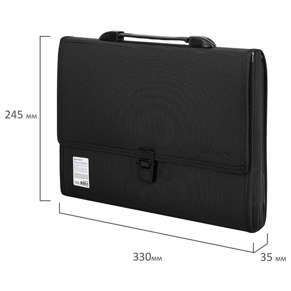 Папка-портфель пластиковая BRAUBERG