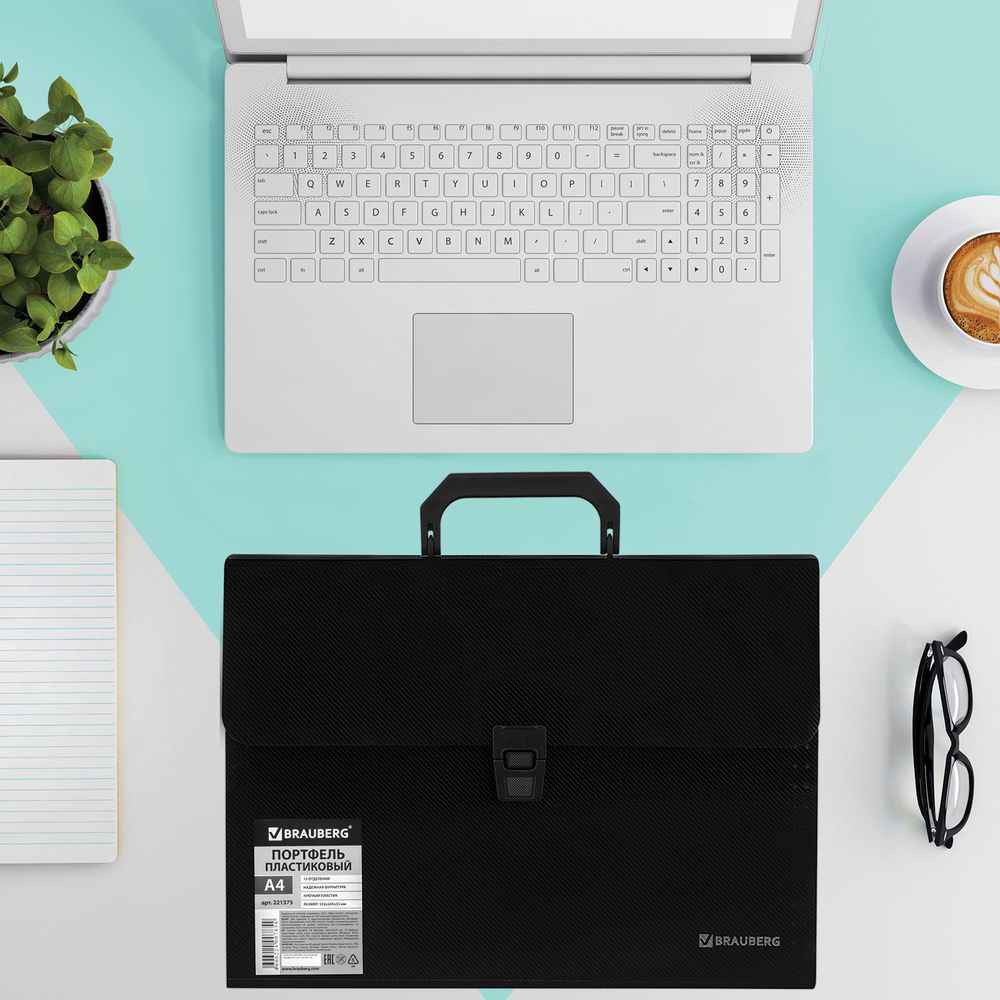 Папка-портфель пластиковая BRAUBERG А4 (332х245х35 мм), 13 отделений, фактура диагональ, черная