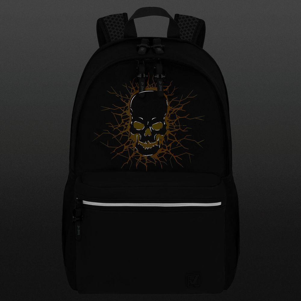 Рюкзак BRAUBERG FASHION CITY универсальный, 2 отделения, Skull, черный, 46х31х15 см