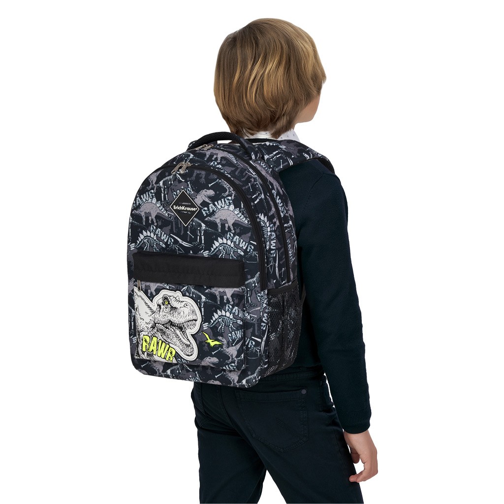Ученический рюкзак ErichKrause EasyLine с двумя отделениями и грудной перемычкой 20L Dinosaur Park