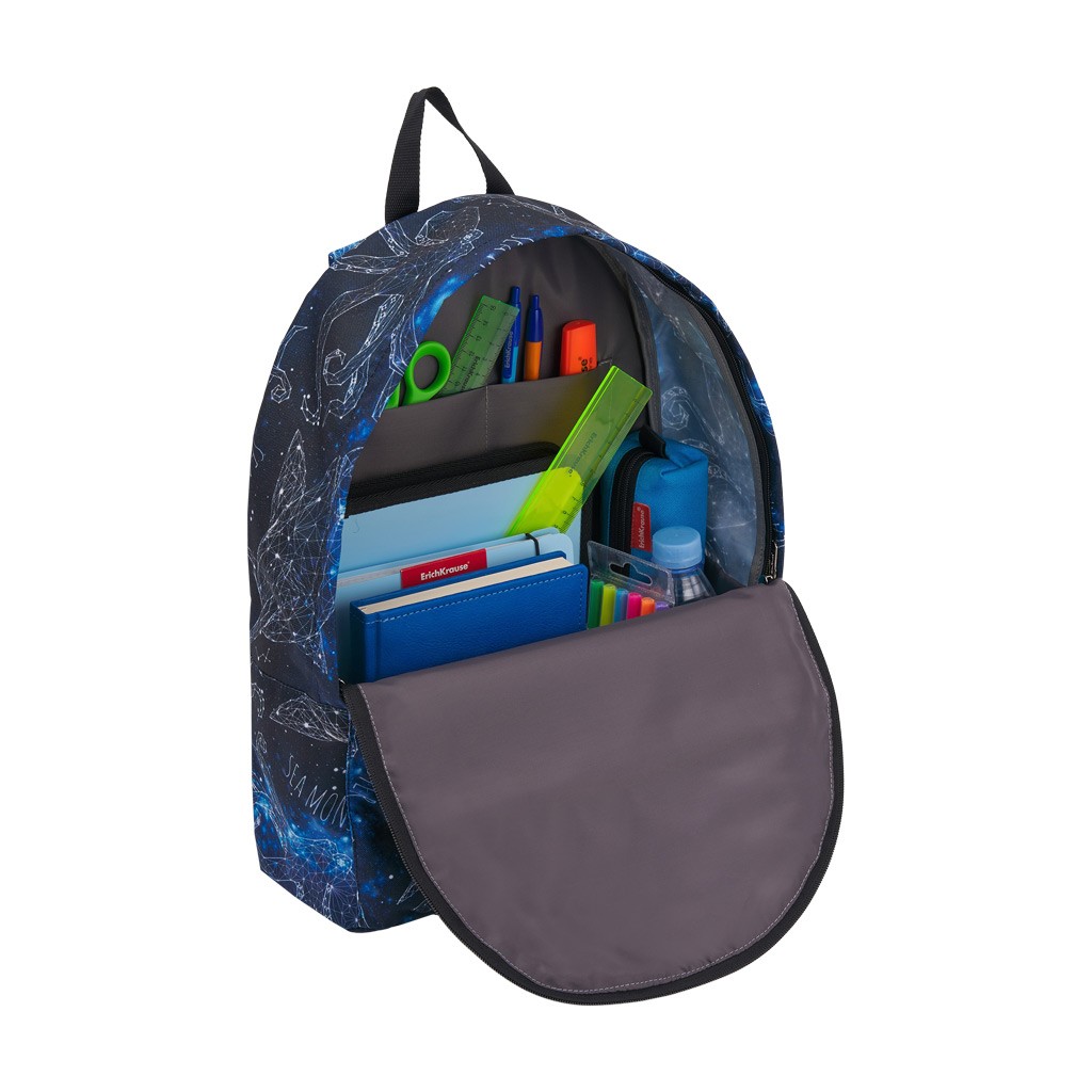 Рюкзак ErichKrause EasyLine 17L Magic Sea World