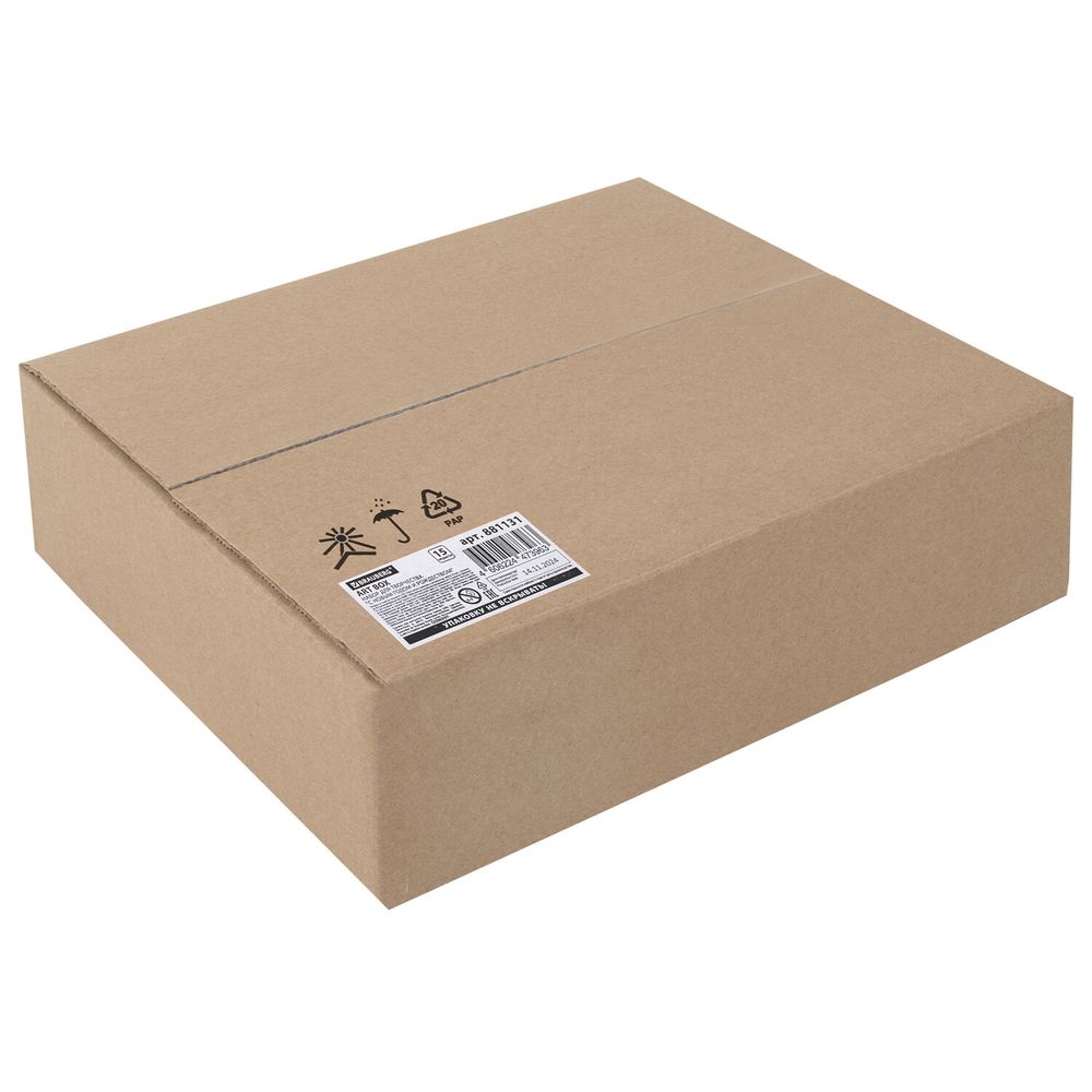 Набор подарок для развития и творчества BRAUBERG ART BOX 