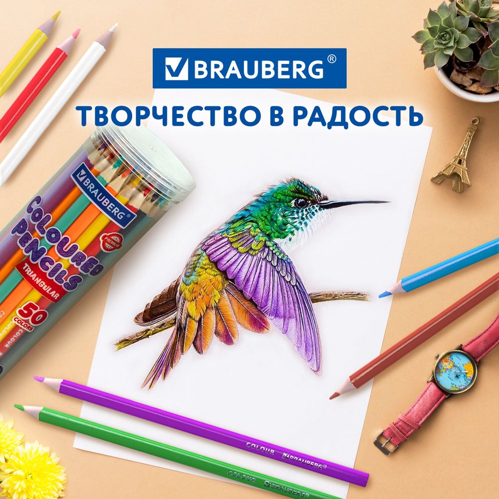 Карандаши цветные BRAUBERG PREMIUM 50 цветов в тубе, трехгранные, грифель 3,3 мм, натуральное дерево