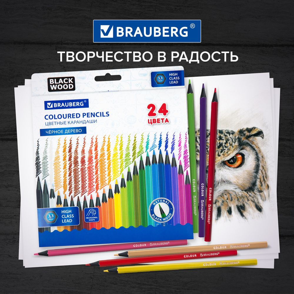 Карандаши цветные BRAUBERG, 24 цвета, шестигранные, грифель 3,3 мм, черное дерево