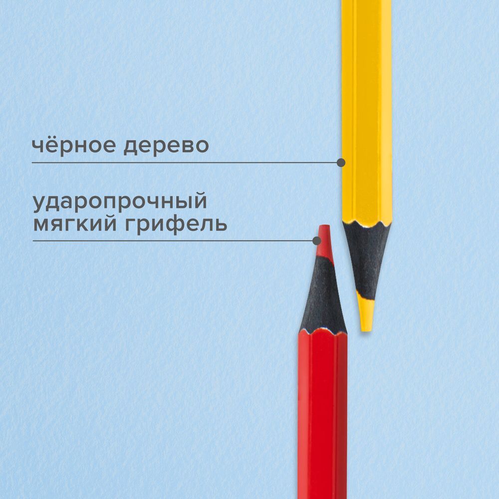 Карандаши цветные BRAUBERG, 24 цвета, шестигранные, грифель 3,3 мм, черное дерево