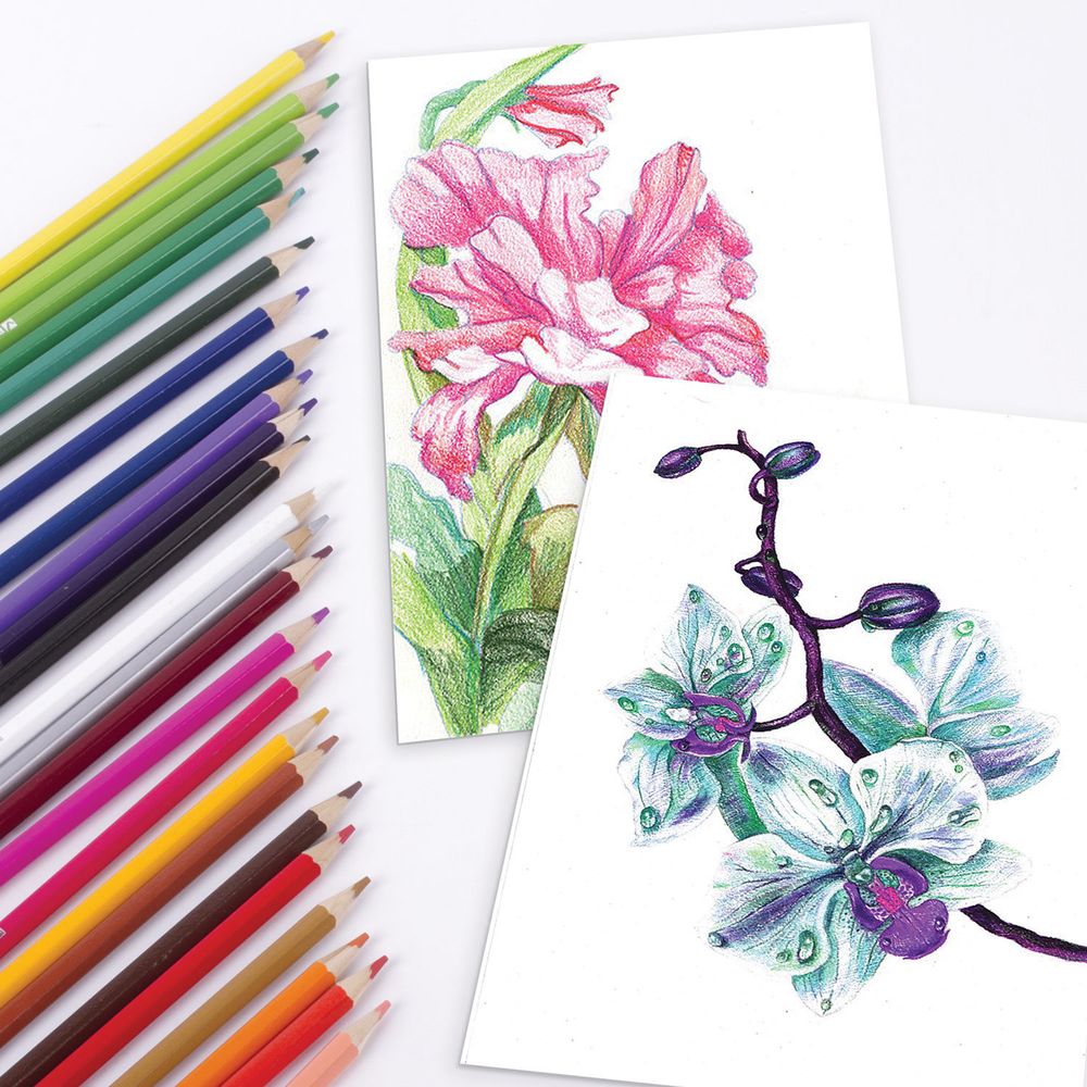 Карандаши цветные акварельные BRAUBERG