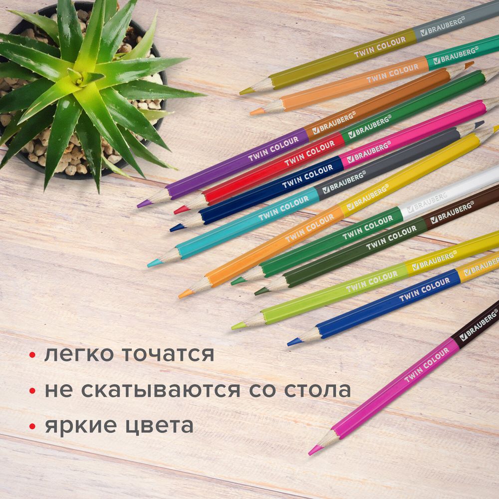 Карандаши цветные двусторонние BRAUBERG PREMIUM TWIN COLOUR, 24 шт., 48 цв., туба, шестигранные, грифель 3,3 мм, натуральное дерево