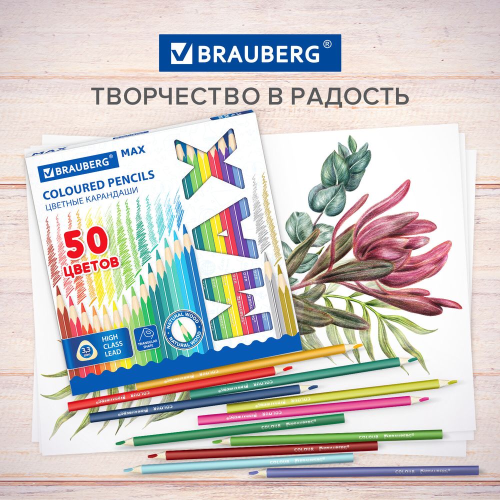 Карандаши цветные супермягкие яркие BRAUBERG MAX, 50 цветов, трехгранные, грифель 3,3 мм, натуральное дерево