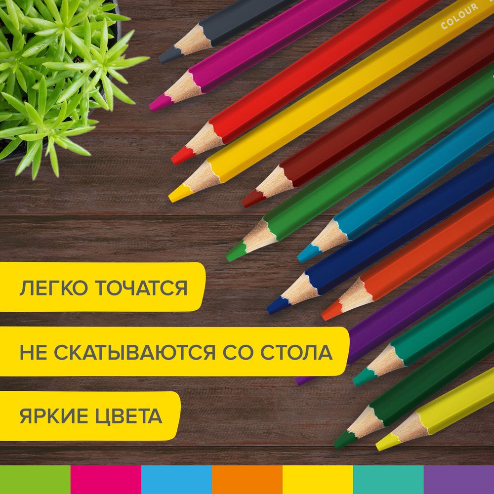 Карандаши цветные утолщенные BRAUBERG KIDS, 24 цвета, шестигранные, грифель 5 мм, натуральное дерево