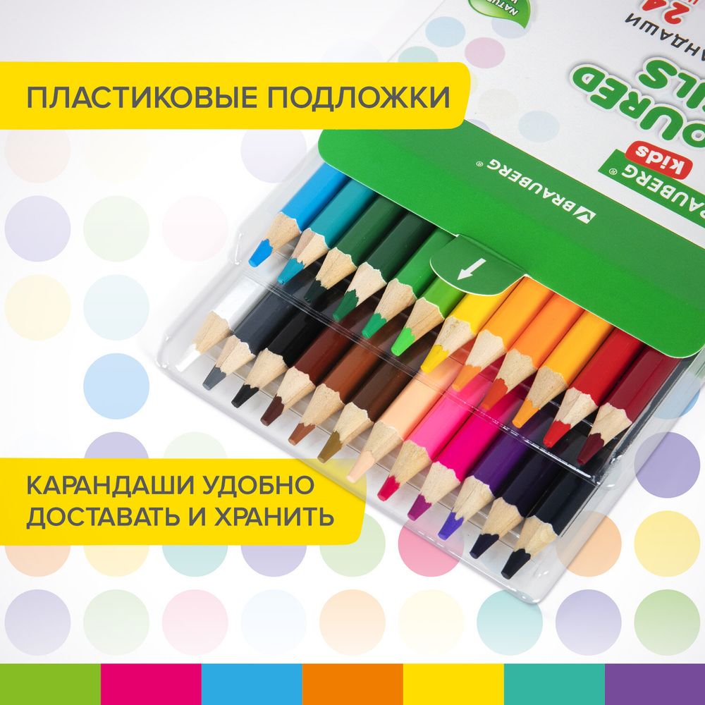 Карандаши цветные утолщенные BRAUBERG KIDS, 24 цвета, шестигранные, грифель 5 мм, натуральное дерево