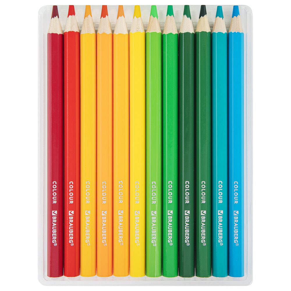 Карандаши цветные утолщенные BRAUBERG KIDS, 24 цвета, шестигранные, грифель 5 мм, натуральное дерево