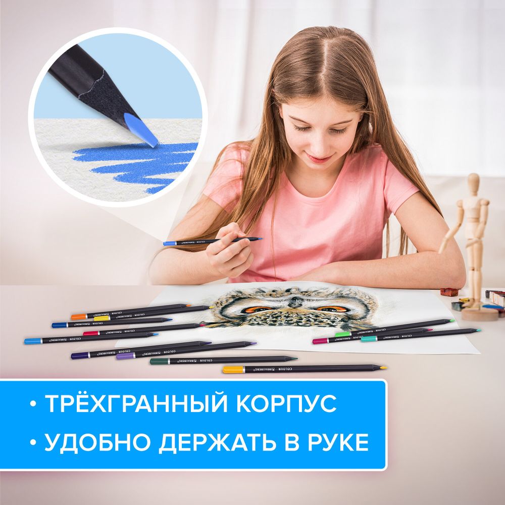 Карандаши цветные чёрное дерево BRAUBERG BLACK WOOD, 24 цвета, трехгранные, мягкий грифель 3 мм