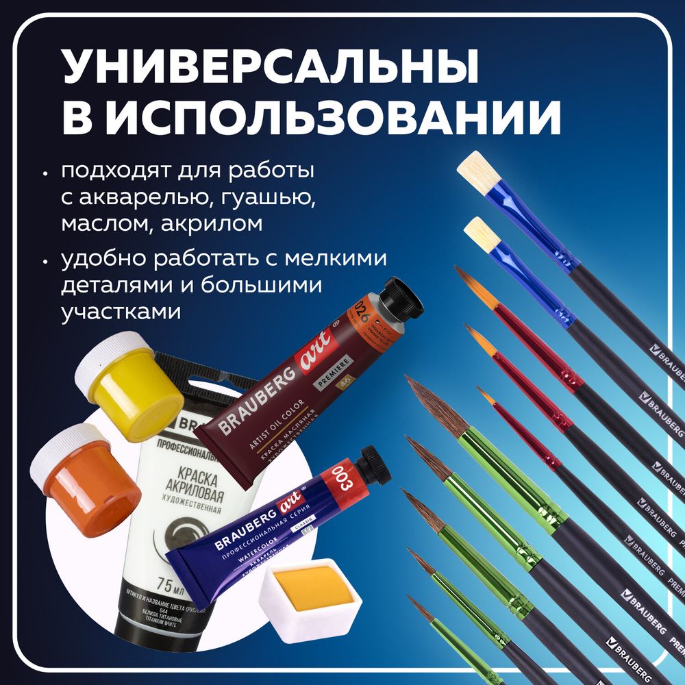 Кисти BRAUBERG PREMIUM, набор 10 шт. (круглые пони - 5 шт., синтетика - 3 шт., плоские щетина - 2 шт.), блистер
