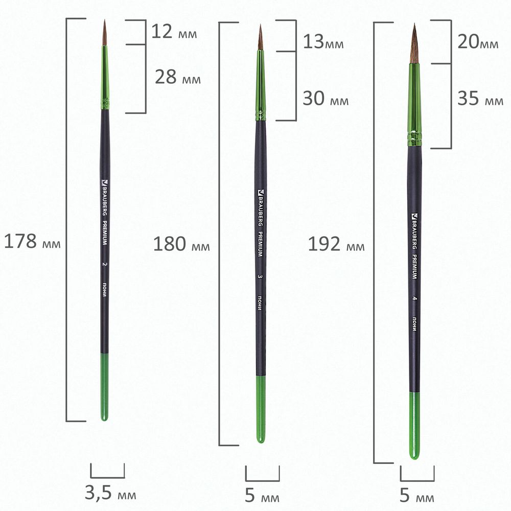 Кисти BRAUBERG PREMIUM, набор 10 шт. (круглые пони - 5 шт., синтетика - 3 шт., плоские щетина - 2 шт.), блистер