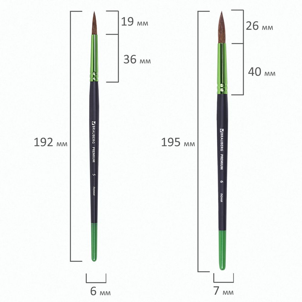 Кисти BRAUBERG PREMIUM, набор 10 шт. (круглые пони - 5 шт., синтетика - 3 шт., плоские щетина - 2 шт.), блистер