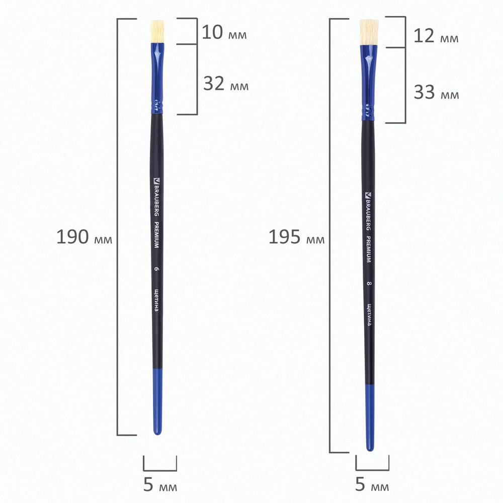 Кисти BRAUBERG PREMIUM, набор 10 шт. (круглые пони - 5 шт., синтетика - 3 шт., плоские щетина - 2 шт.), блистер
