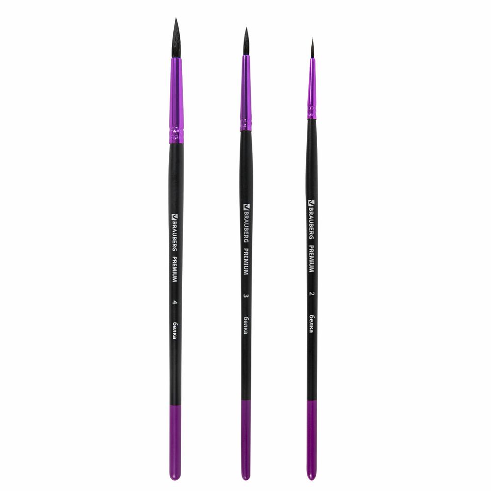 Кисти BRAUBERG PREMIUM, набор 3 шт. (беличьи круглые № 2, 3, 4), блистер