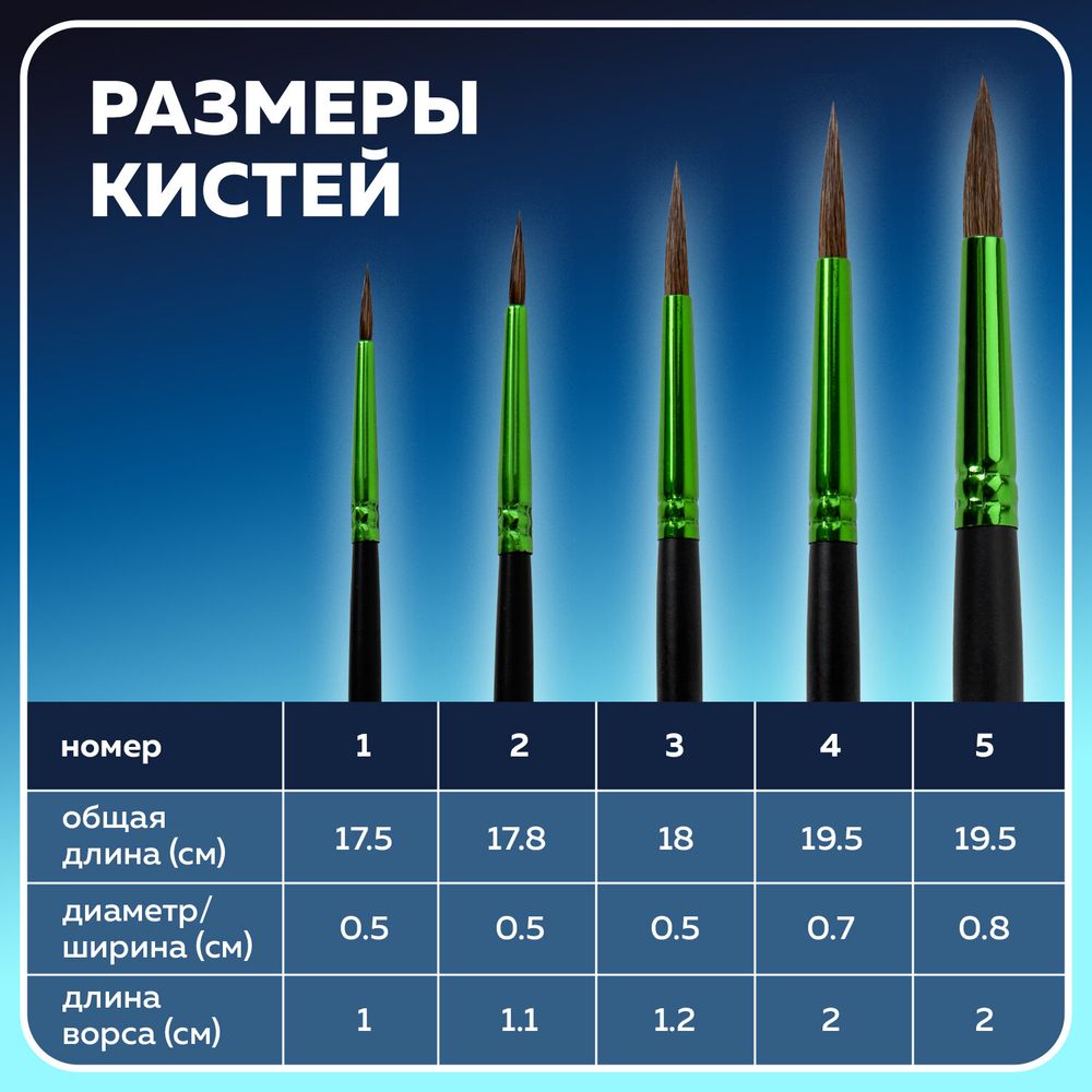 Кисти BRAUBERG PREMIUM, набор 5 шт. (из ворса пони круглые № 1, 2, 3, 4, 5), блистер