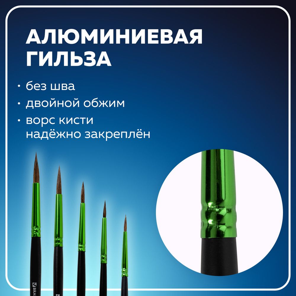 Кисти BRAUBERG PREMIUM, набор 5 шт. (из ворса пони круглые № 1, 2, 3, 4, 5), блистер
