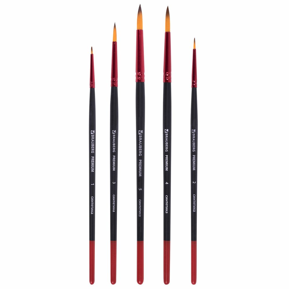 Кисти BRAUBERG PREMIUM, набор 5 шт. (синтетика, круглая № 1, 2, 3, 4, 5), блистер