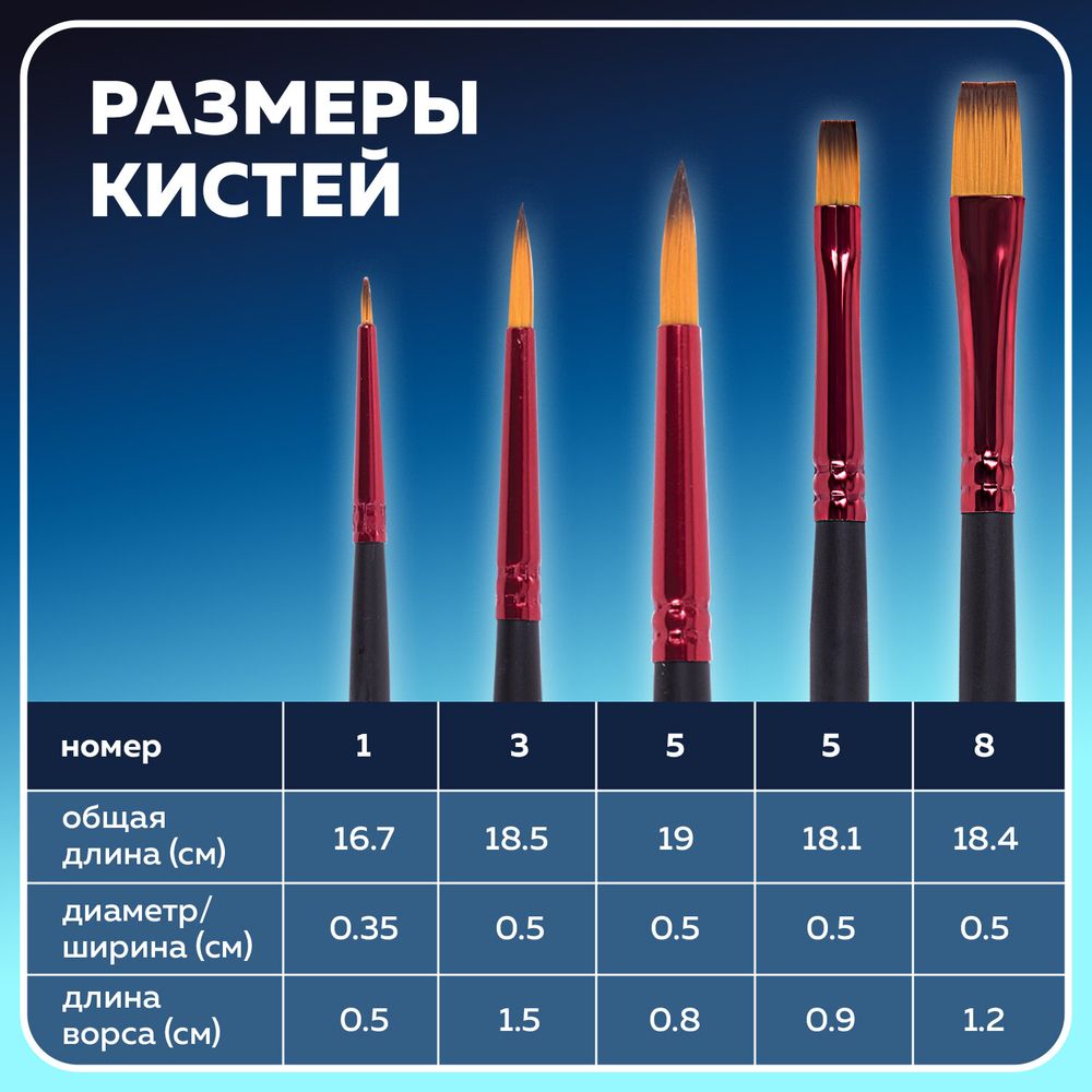 Кисти BRAUBERG PREMIUM, набор 5 шт. (синтетика, круглая № 1, 3, 5, плоская № 5, 8), блистер