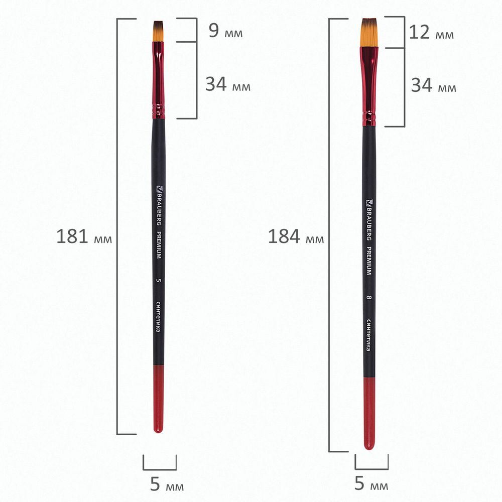 Кисти BRAUBERG PREMIUM, набор 5 шт. (синтетика, круглая № 1, 3, 5, плоская № 5, 8), блистер