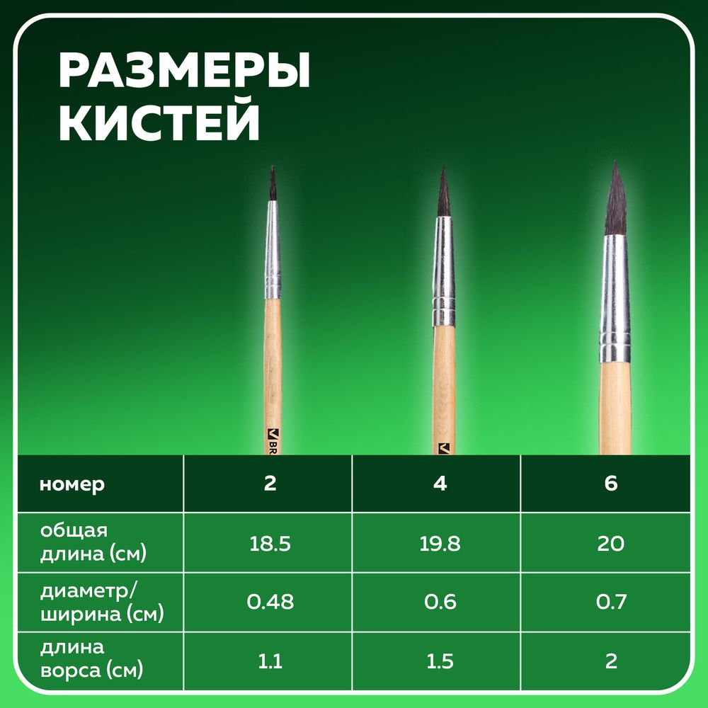 Кисти BRAUBERG, набор 3 шт. (белка, круглые № 2, 4, 6), блистер