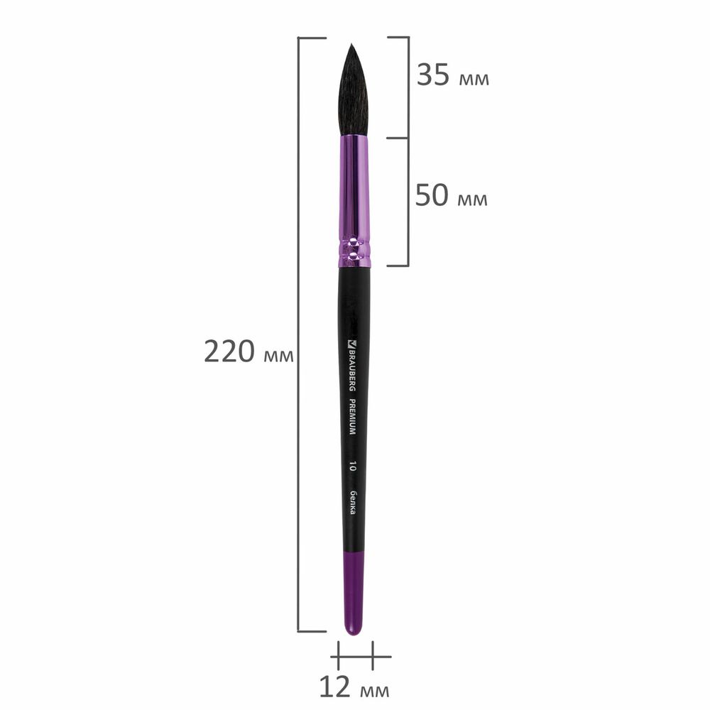 Кисть белка, круглая № 10, BRAUBERG PREMIUM