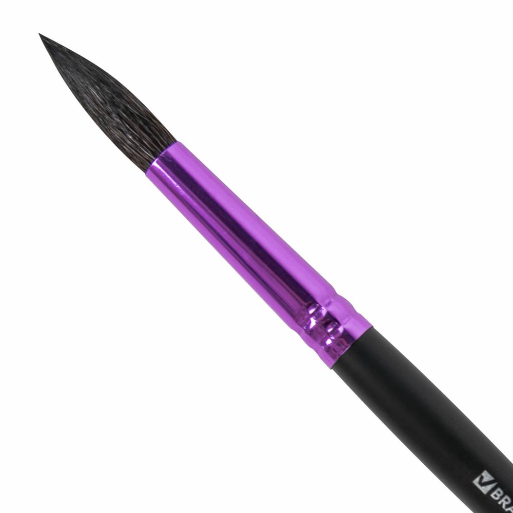 Кисть белка, круглая № 9, BRAUBERG PREMIUM
