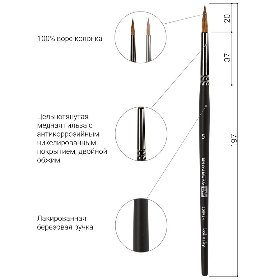 Кисть художественная проф. BRAUBERG ART CLASSIC, колонок, круглая, № 5, короткая ручка