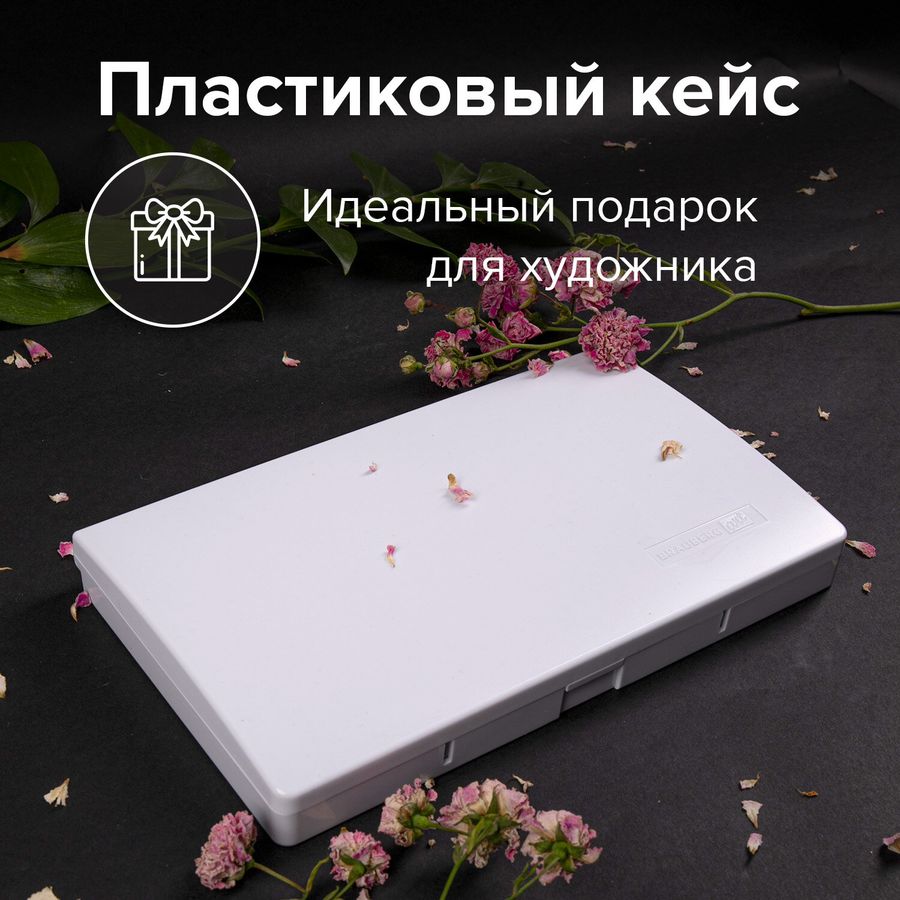 Акварель художественная кюветы НАБОР 48 цветов по 3,5 г, пластиковый кейс, BRAUBERG ART CLASSIC