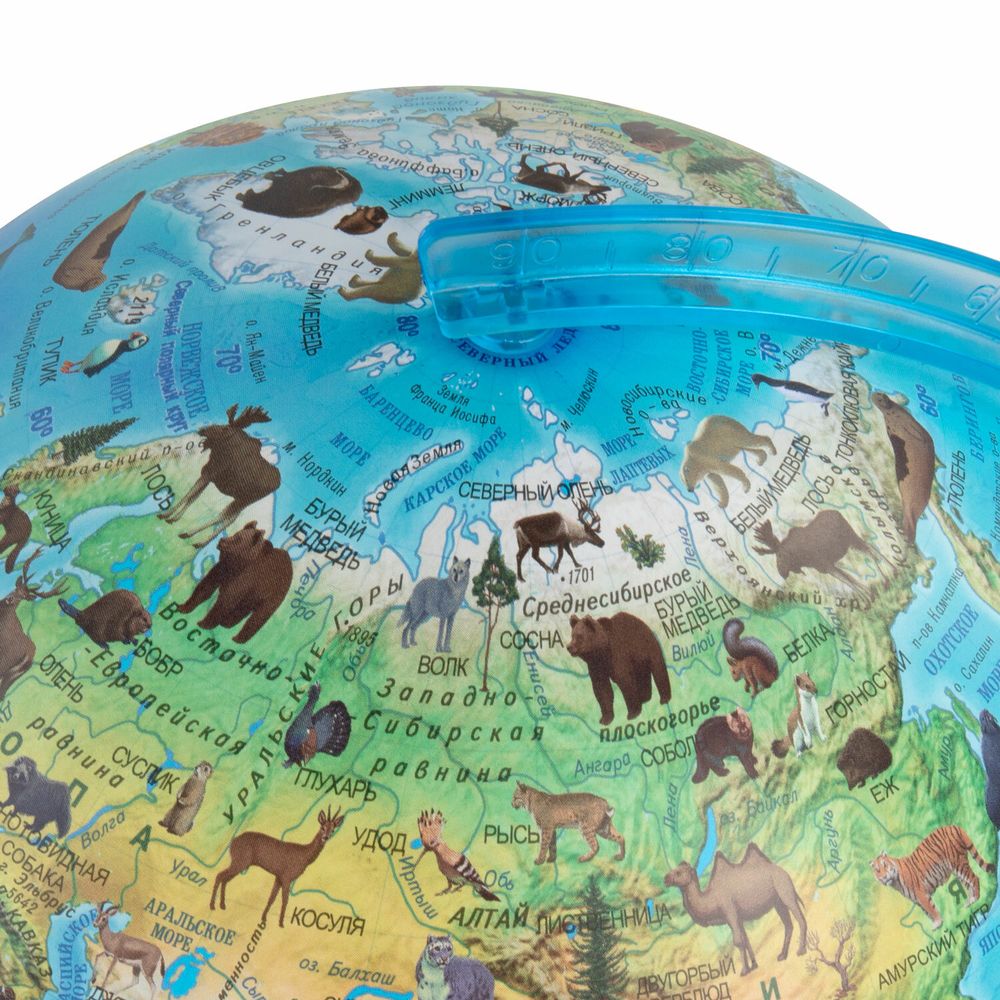 Глобус интерактивный + очки VR, зоогеографический, GLOBEN, 25см, с подсветкой