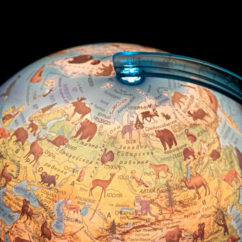 Глобус интерактивный + очки VR, зоогеографический, GLOBEN, 25см, с подсветкой