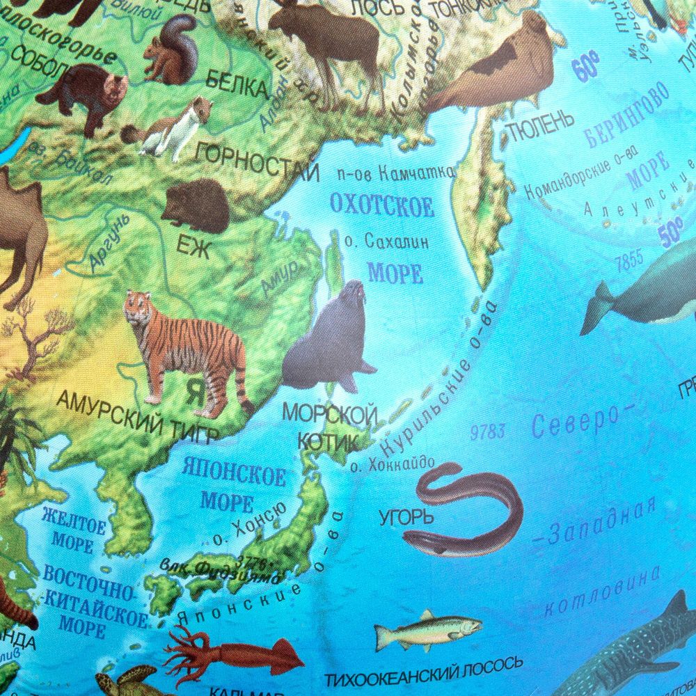 Глобус интерактивный + очки VR, зоогеографический, GLOBEN, 25см, с подсветкой