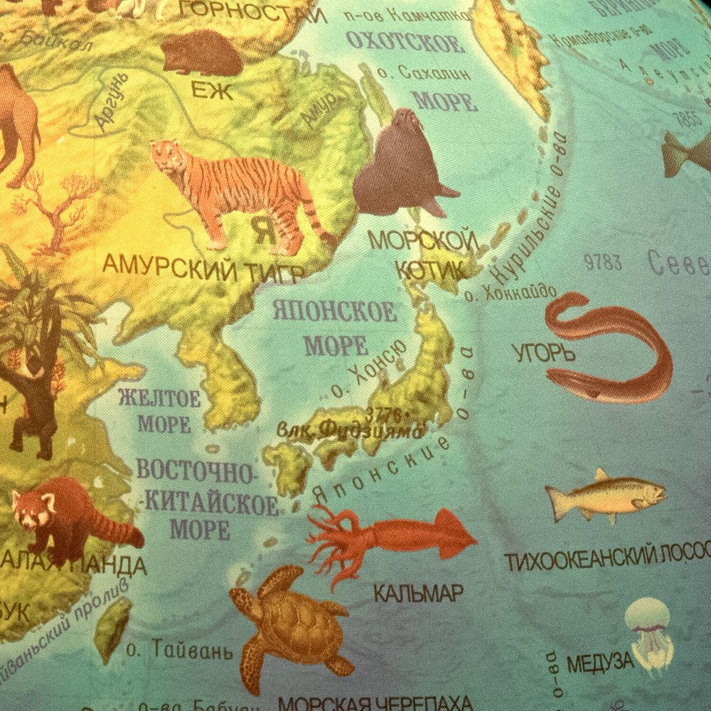 Глобус интерактивный + очки VR, зоогеографический, GLOBEN, 25см, с подсветкой