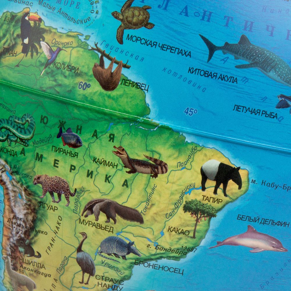 Глобус интерактивный + очки VR, зоогеографический, GLOBEN, 25см, с подсветкой