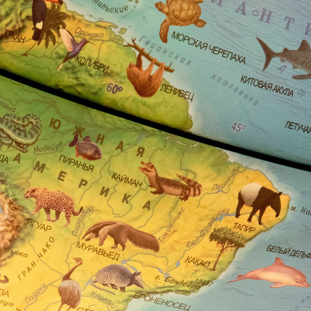 Глобус интерактивный + очки VR, зоогеографический, GLOBEN, 25см, с подсветкой