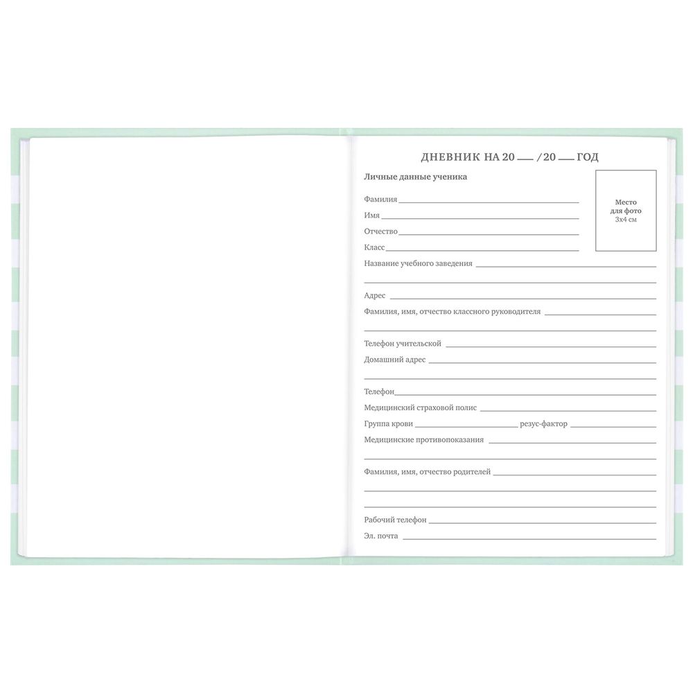 Дневник 1-11 класс 48 л., твердый, BRAUBERG, блестки, с подсказом, 