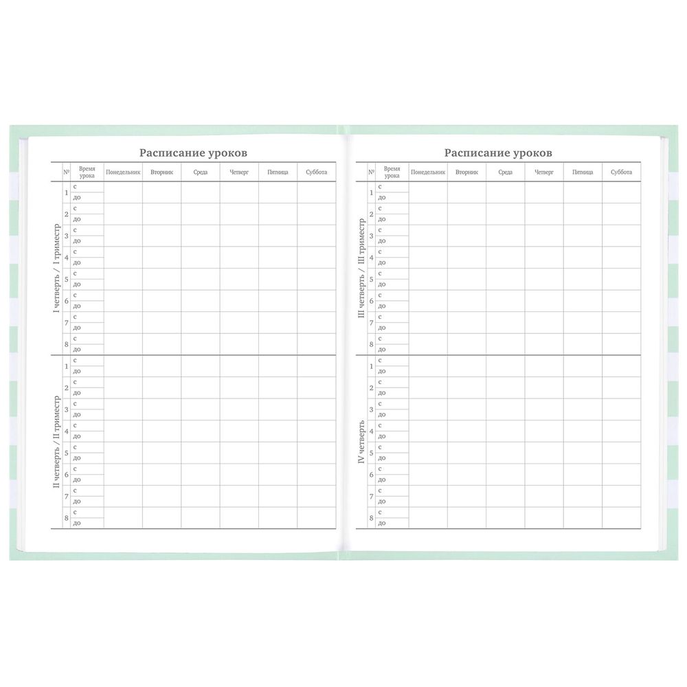 Дневник 1-11 класс 48 л., твердый, BRAUBERG, блестки, с подсказом, 