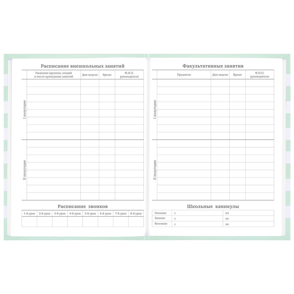 Дневник 1-11 класс 48 л., твердый, BRAUBERG, блестки, с подсказом, 