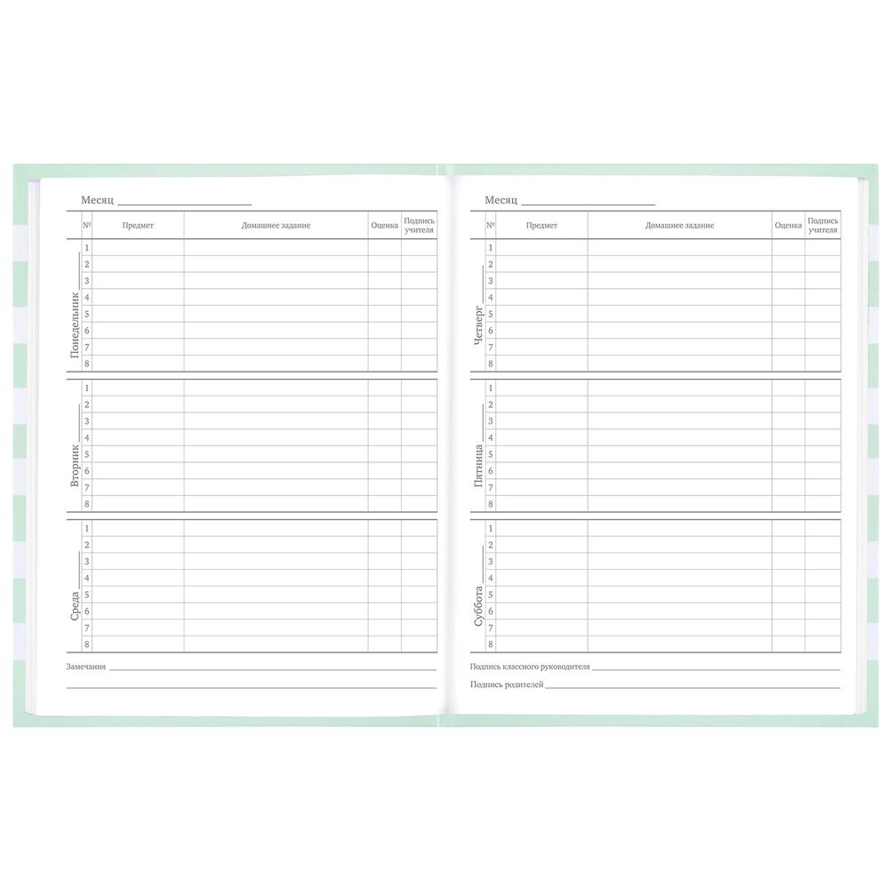 Дневник 1-11 класс 48 л., твердый, BRAUBERG, блестки, с подсказом, 